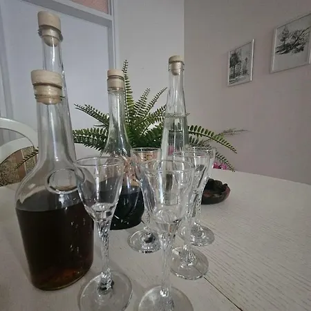 Zeljko Apartment